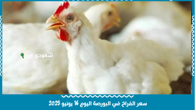 سعر الفراخ في البورصة اليوم 16 يونيو 2025